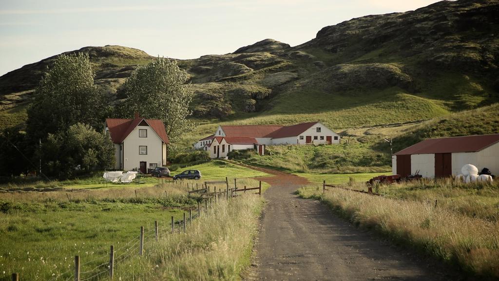 Sel Guesthouse Skálholt Exteriér fotografie