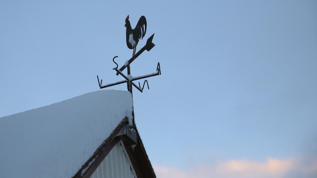 Sel Guesthouse Skálholt Exteriér fotografie